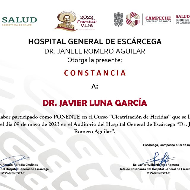 Ampliar imagen: certificate 19