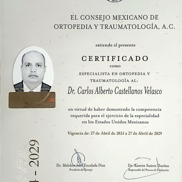 Ampliar imagen: certificate 5