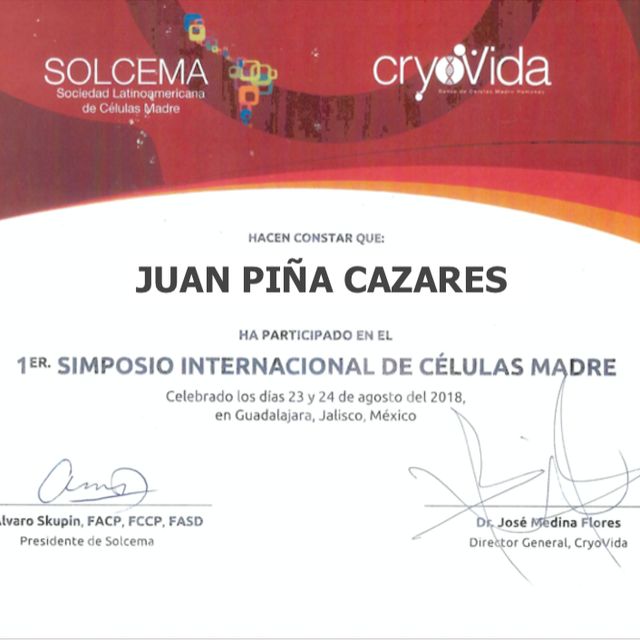 Ampliar imagen: certificate 4