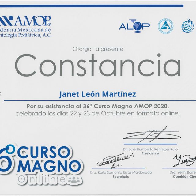 Ampliar imagen: certificate 1