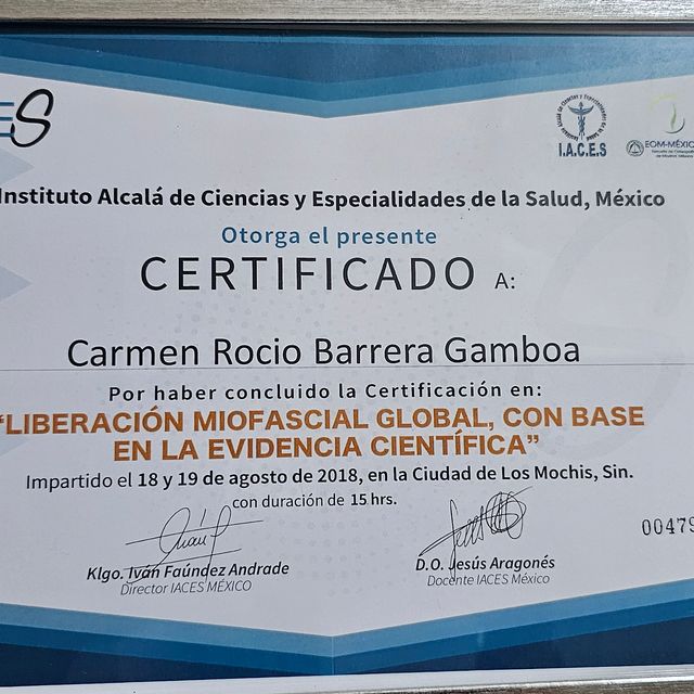 Ampliar imagen: certificate 5