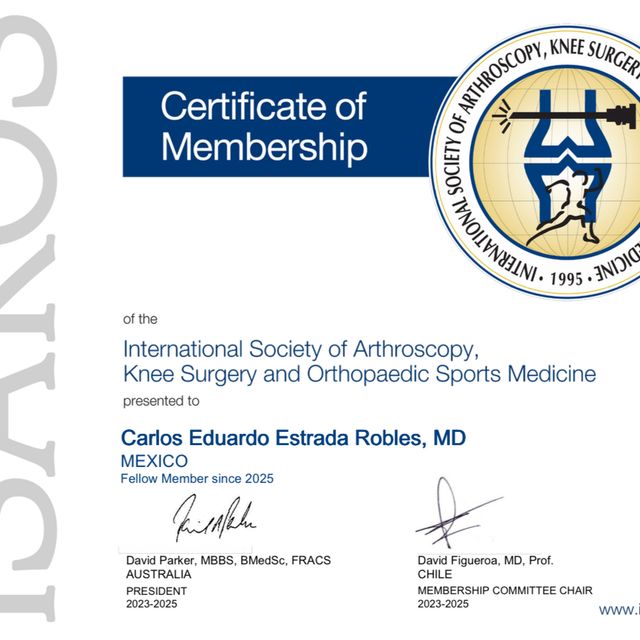 Ampliar imagen: certificate 1