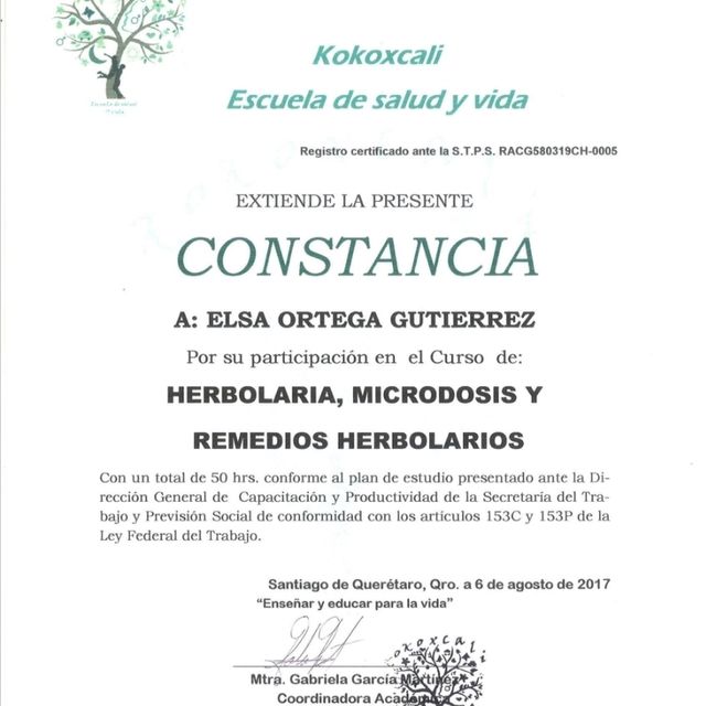 Ampliar imagen: certificate 7