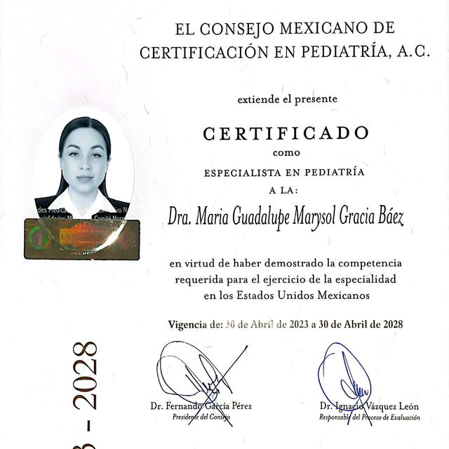 Ampliar imagen: certificate 4