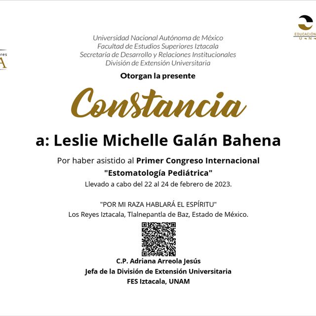 Ampliar imagen: certificate 10