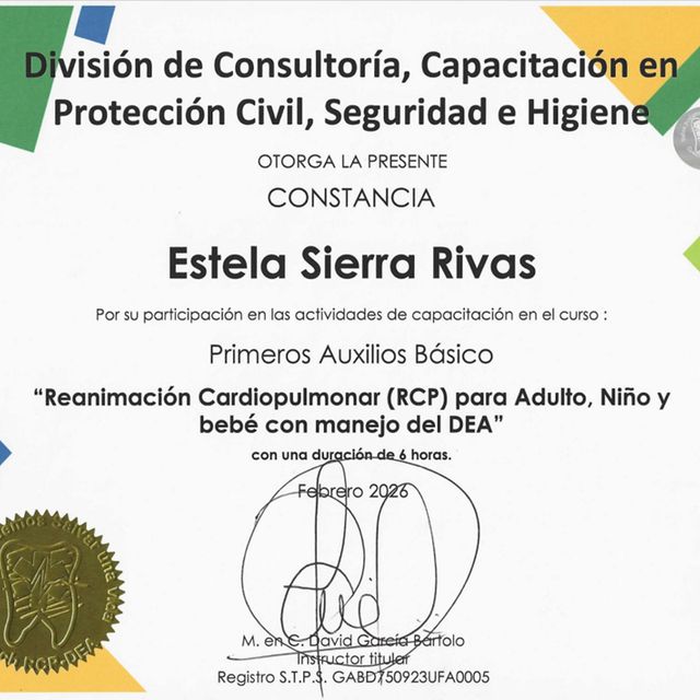 Ampliar imagen: certificate 1