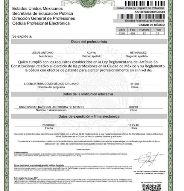 Ampliar imagen: certificate 2