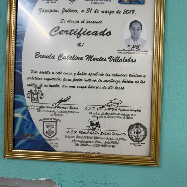 Ampliar imagen: certificate 4