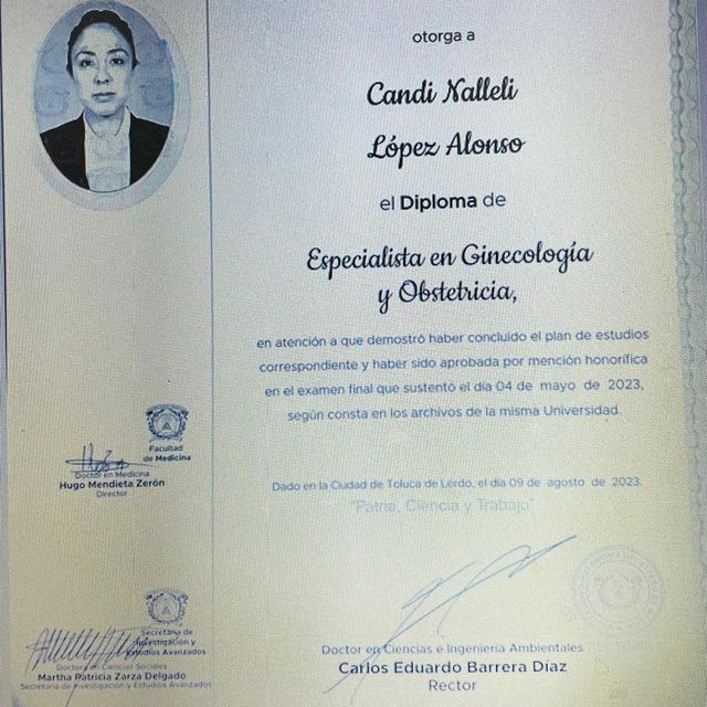Ampliar imagen: certificate 1