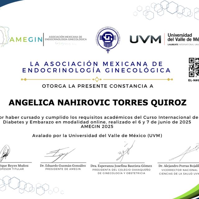 Ampliar imagen: certificate 5