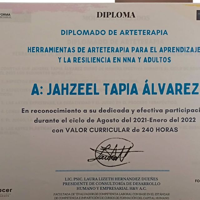 Ampliar imagen: certificate 9