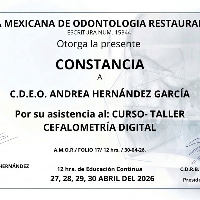 Ampliar imagen: certificate 2