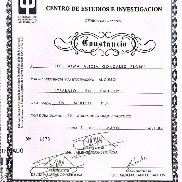 Ampliar imagen: certificate 43