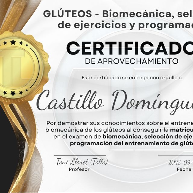 Ampliar imagen: certificate 5
