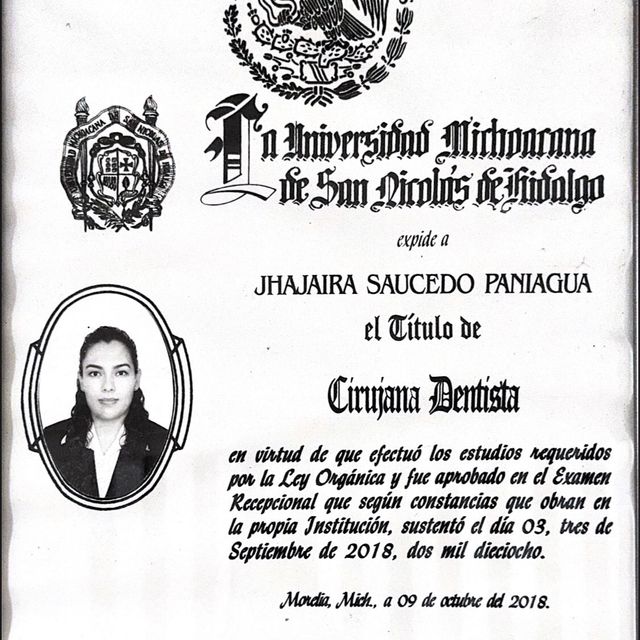 Ampliar imagen: certificate 4