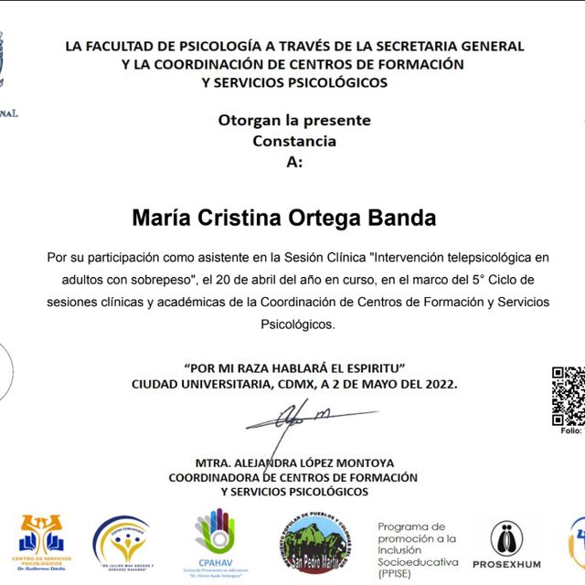 Ampliar imagen: certificate 5
