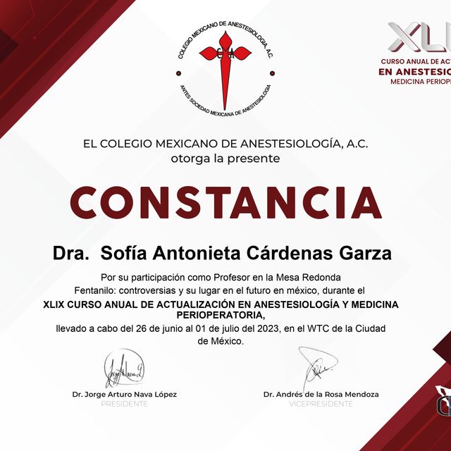 Ampliar imagen: certificate 3