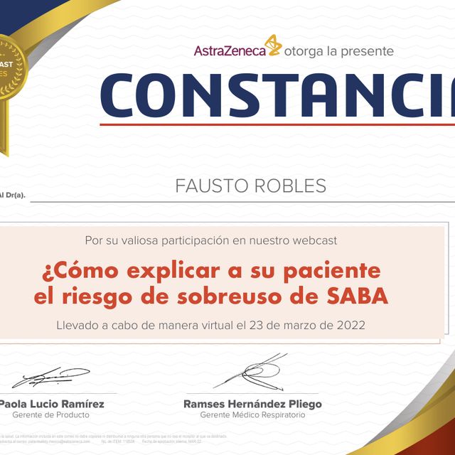 Ampliar imagen: certificate 23
