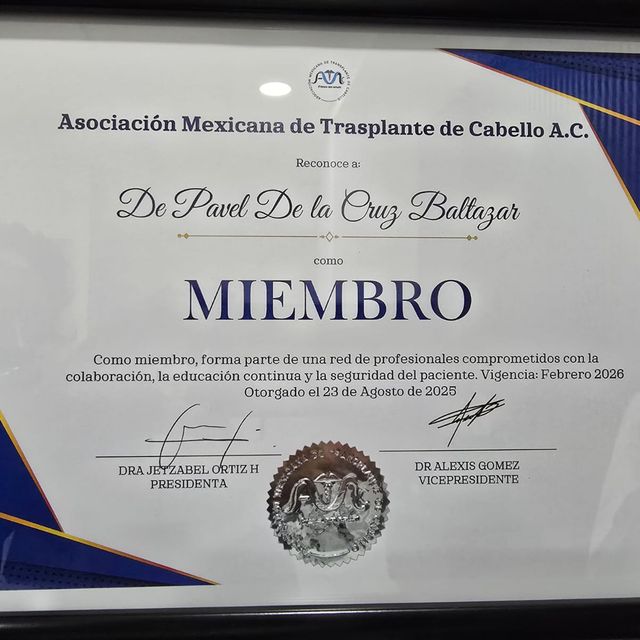 Ampliar imagen: certificate 13