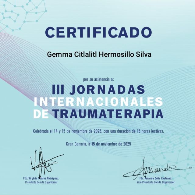 Ampliar imagen: certificate 17