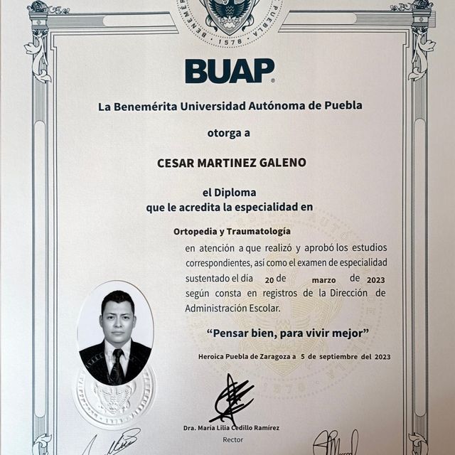 Ampliar imagen: certificate 2
