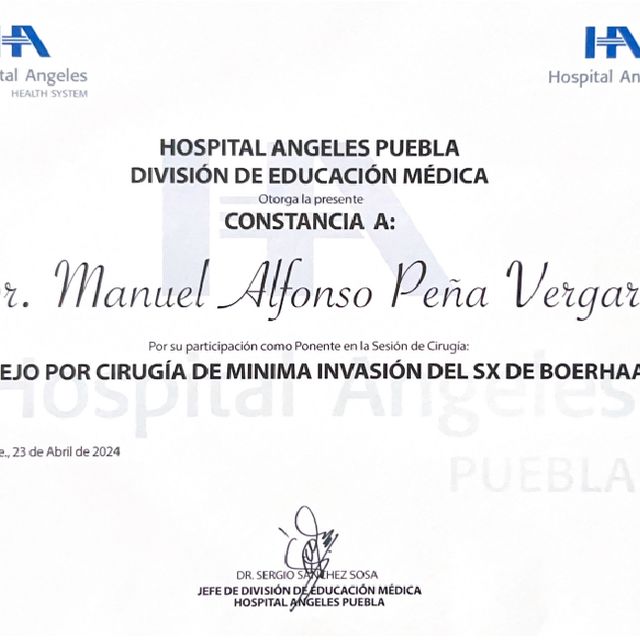 Ampliar imagen: certificate 17