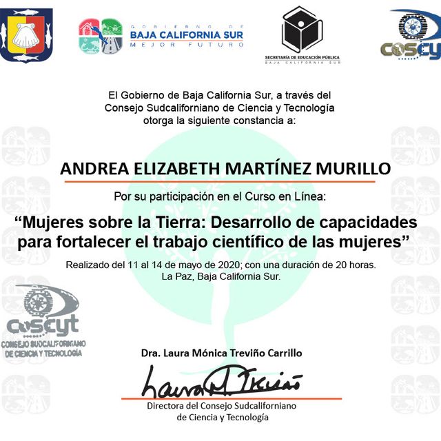 Ampliar imagen: certificate 18