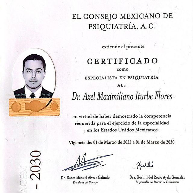 Ampliar imagen: certificate 1