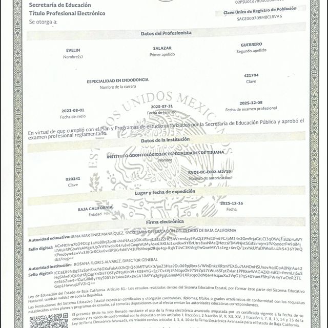 Ampliar imagen: certificate 7