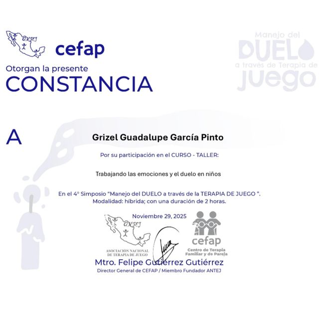 Ampliar imagen: certificate 7