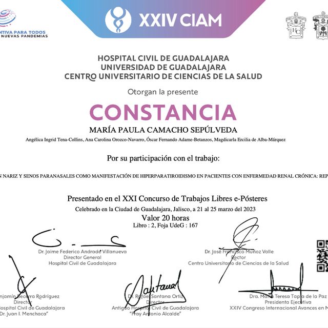 Ampliar imagen: certificate 11
