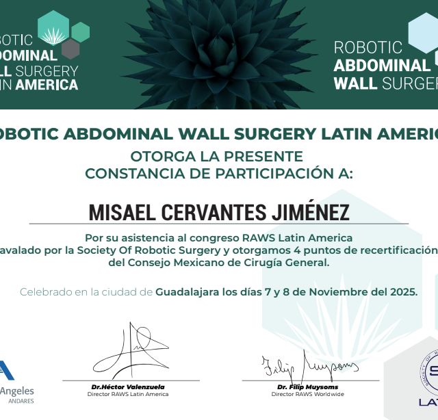 Ampliar imagen: certificate 3