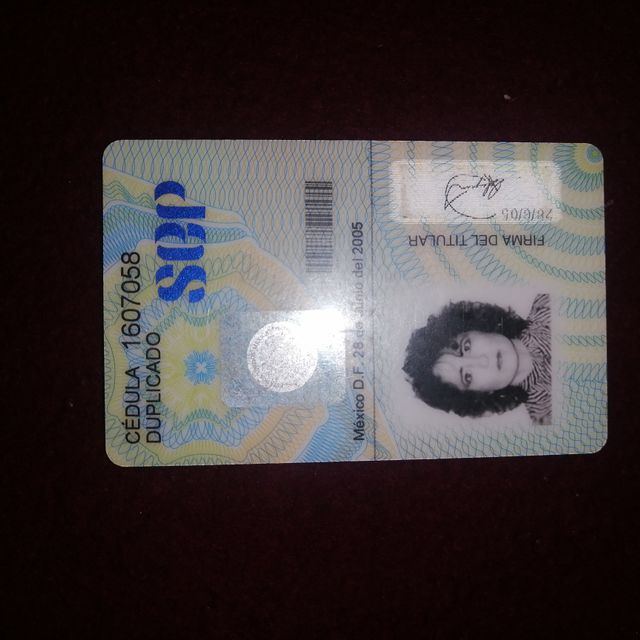 Ampliar imagen: certificate 11