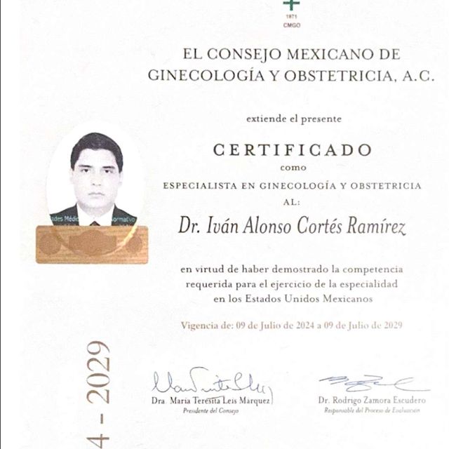 Ampliar imagen: certificate 2