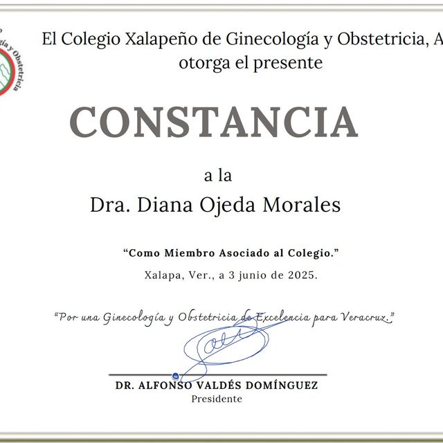 Ampliar imagen: certificate 4