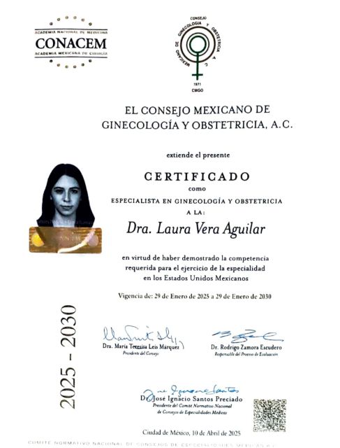 Ampliar imagen: certificate 1