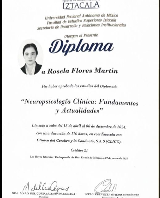 Ampliar imagen: certificate 1