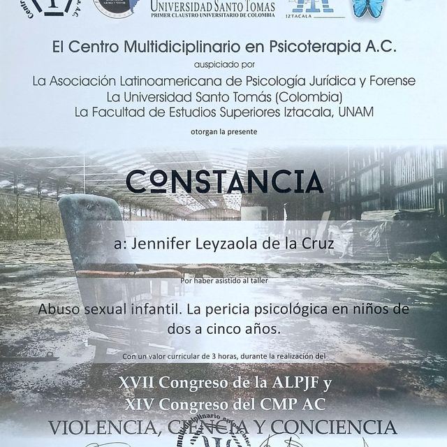 Ampliar imagen: certificate 12