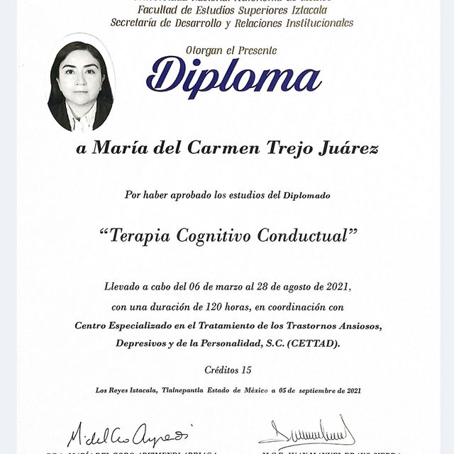 Ampliar imagen: certificate 9