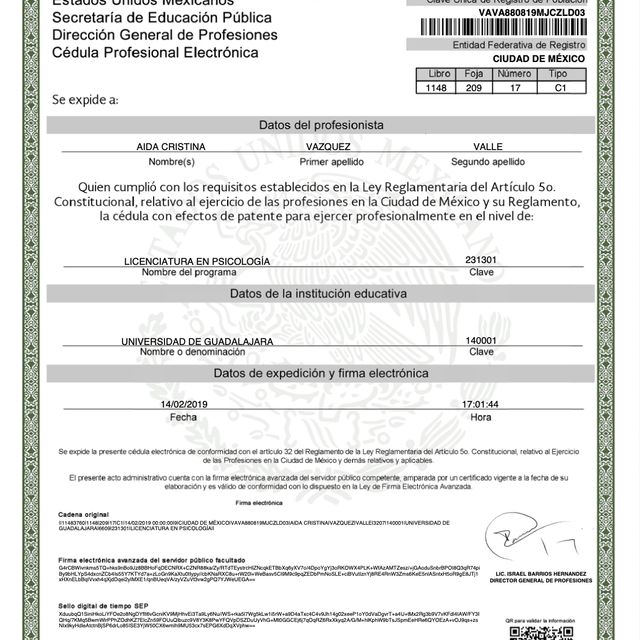 Ampliar imagen: certificate 3