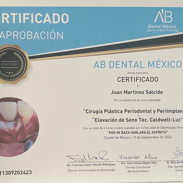 Ampliar imagen: certificate 1