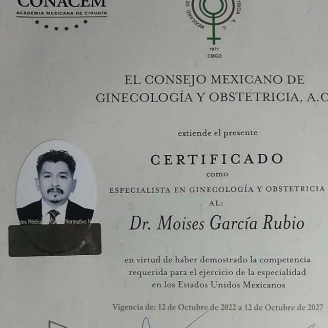 Ampliar imagen: certificate 1