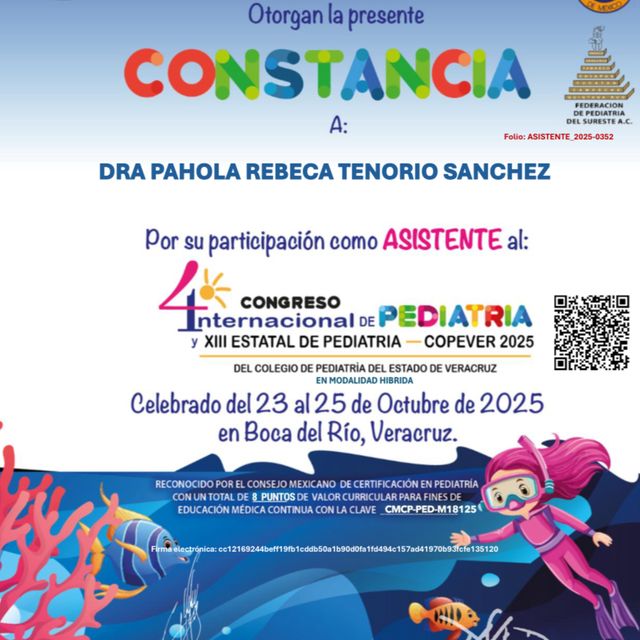 Ampliar imagen: certificate 5