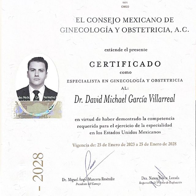 Ampliar imagen: certificate 3