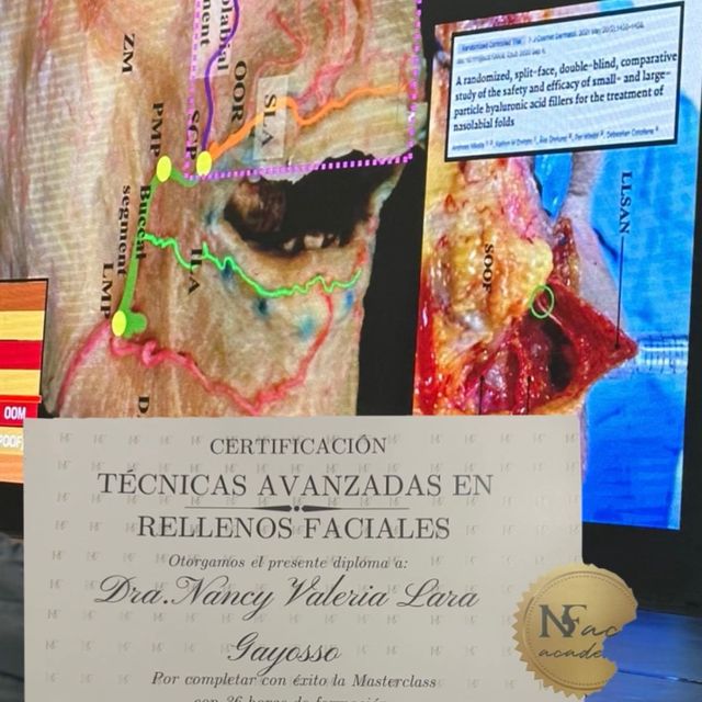 Ampliar imagen: certificate 2
