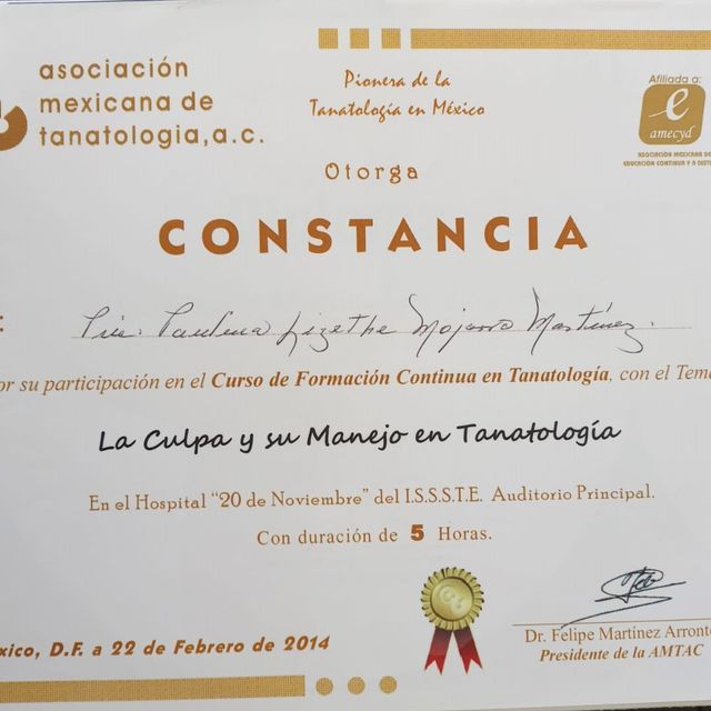 Ampliar imagen: certificate 17