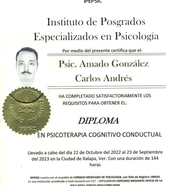 Ampliar imagen: certificate 3