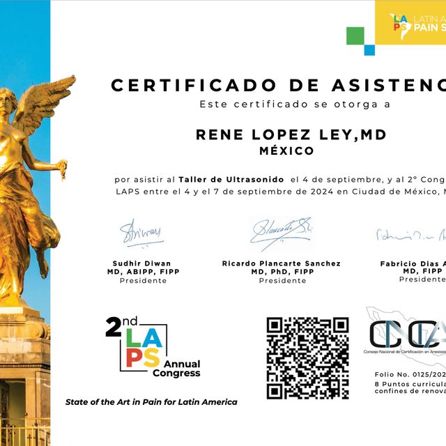 Ampliar imagen: certificate 13