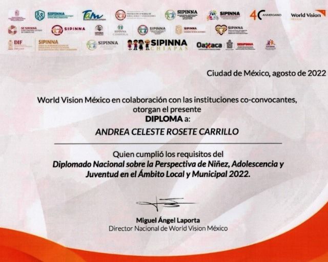 Ampliar imagen: certificate 5
