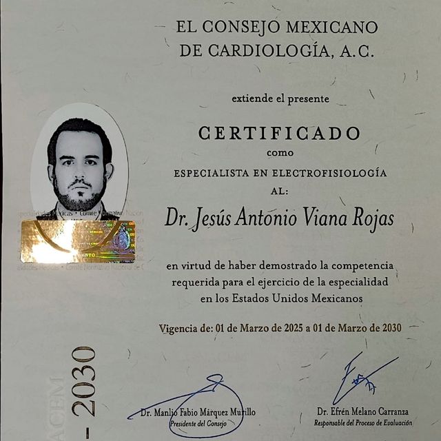 Ampliar imagen: certificate 2